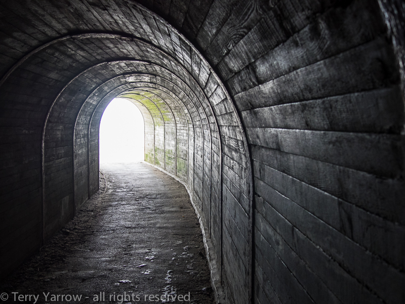 The Tunnel