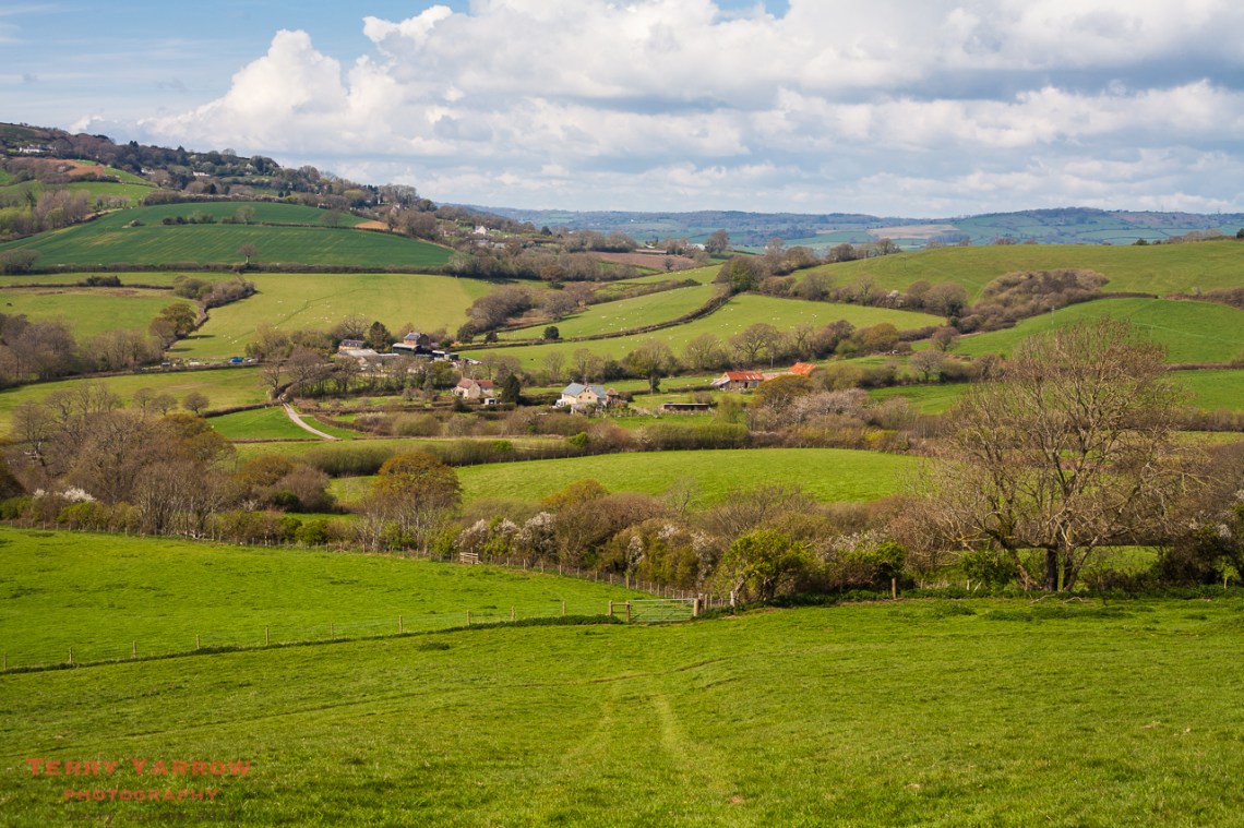 The Winniford Valley