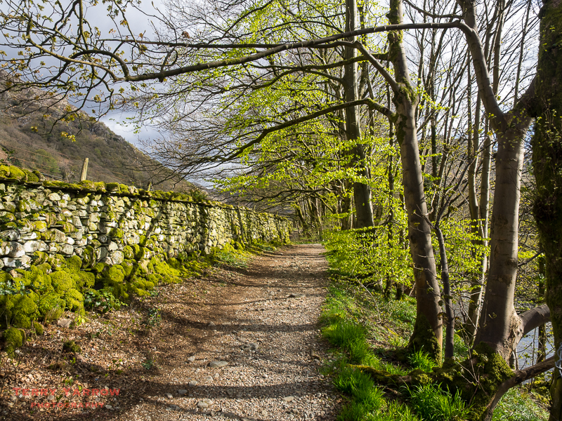 Walking through Borrowdale