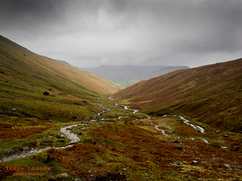 Looking Back Down Tongue Gill