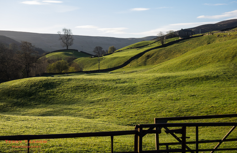 Early morning sunshine across Swaledale