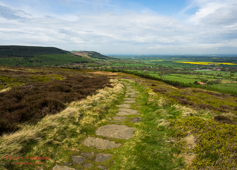 On the North York Moors