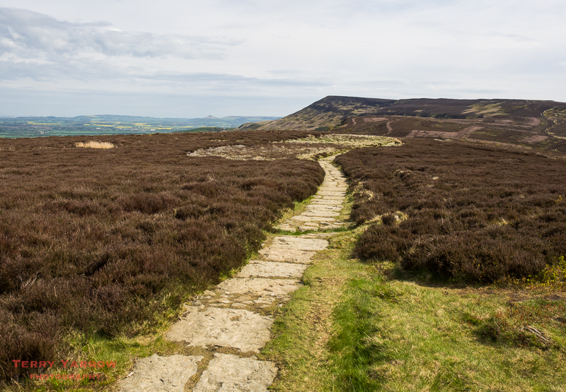 Climbing Carlton Moor