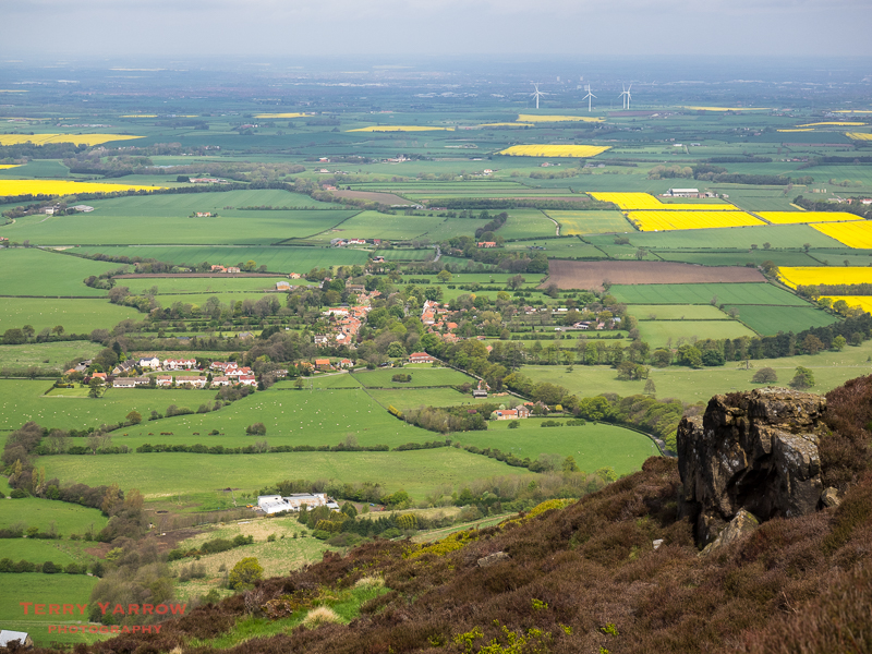 The view from Carlton Moor