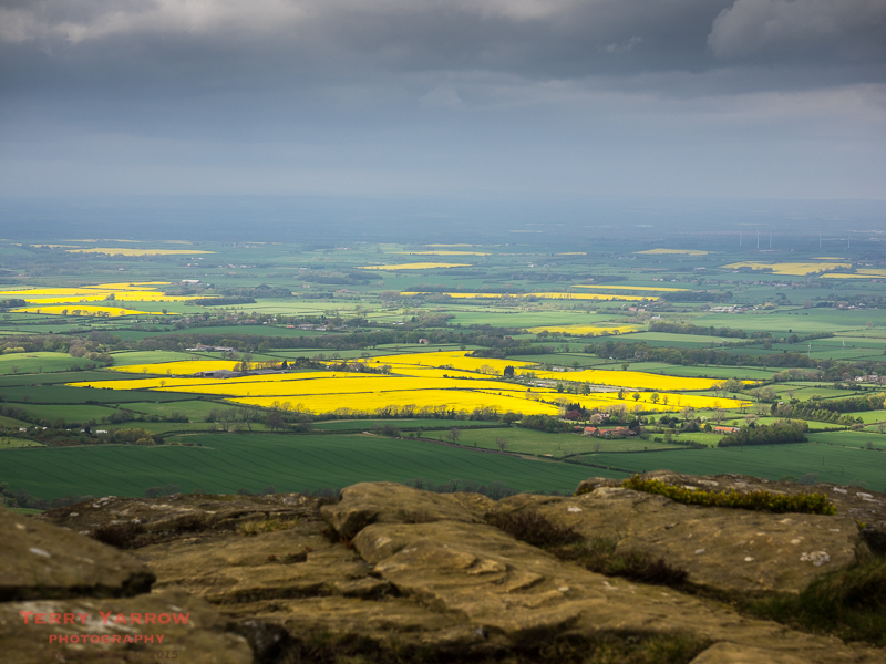 Fields of Gold - the view from the top of Wain Stones
