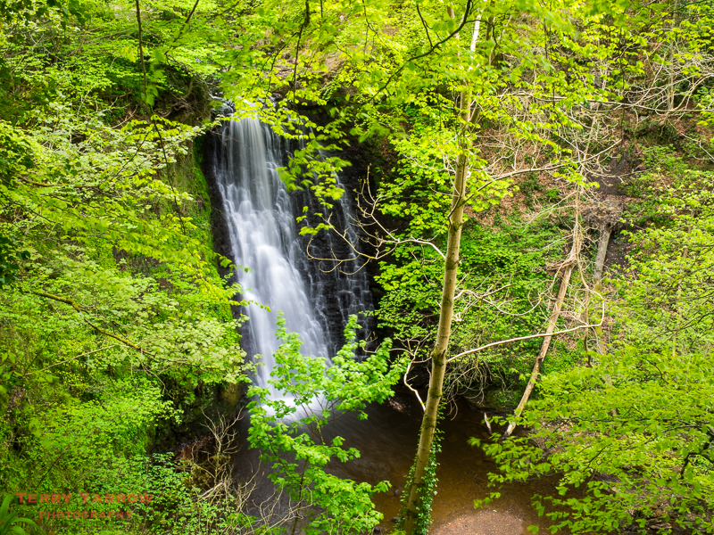 Falling Foss