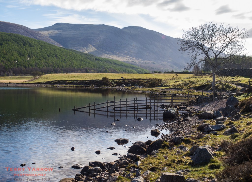 The path beside Ennerdale Water
