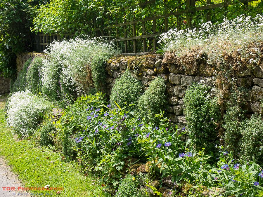 The Garden Wall