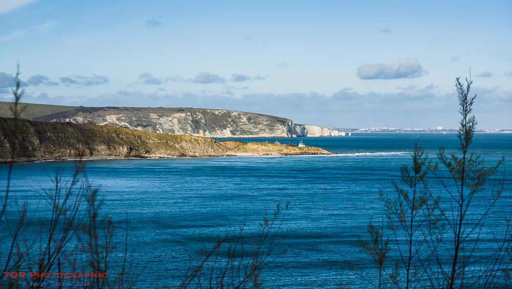 Peverill Point and Old Harry Rocks