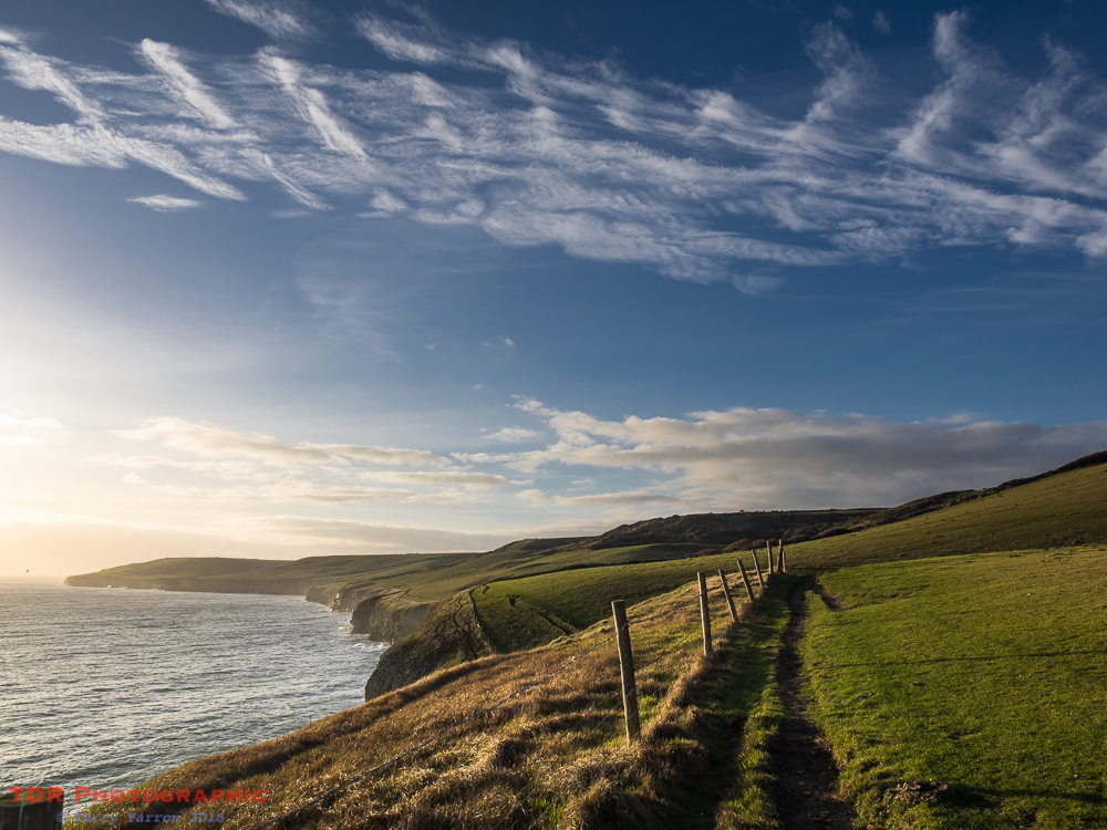 Along the Dorset Coast