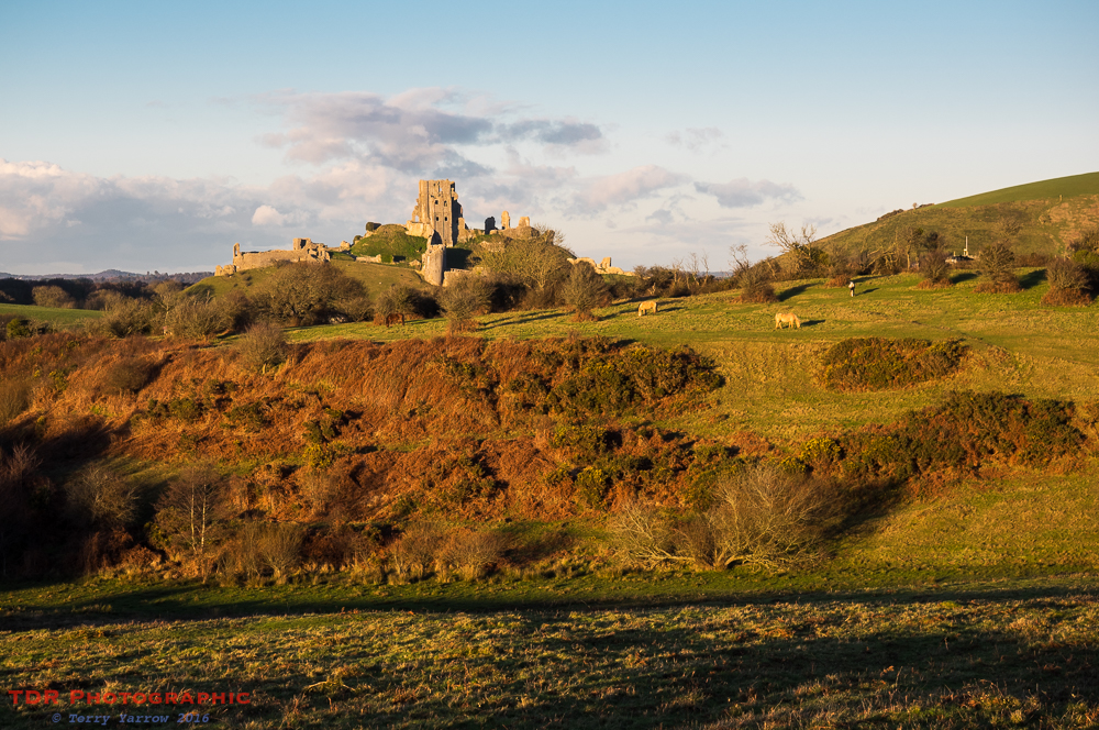 Corfe Castle Across the Common
