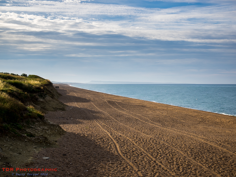 Along the Beach
