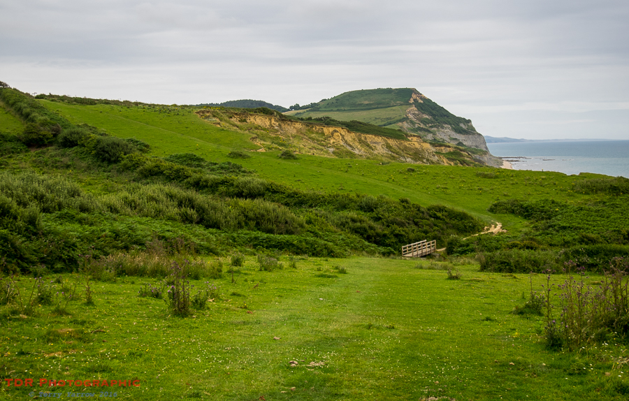 Golden Cap from the West