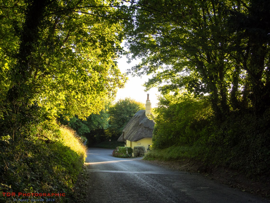 Down a Country Lane