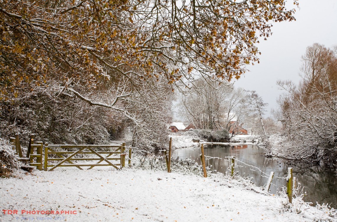 Gate to the Old Mill