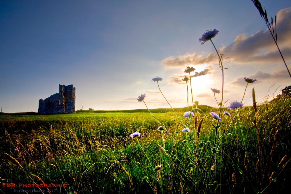 Knowlton Church and earthworks