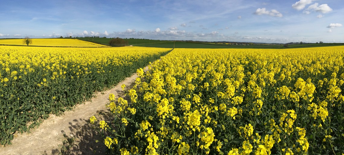 2EF7D665-802F-41D6-913C-C5B335AA5DDA adj