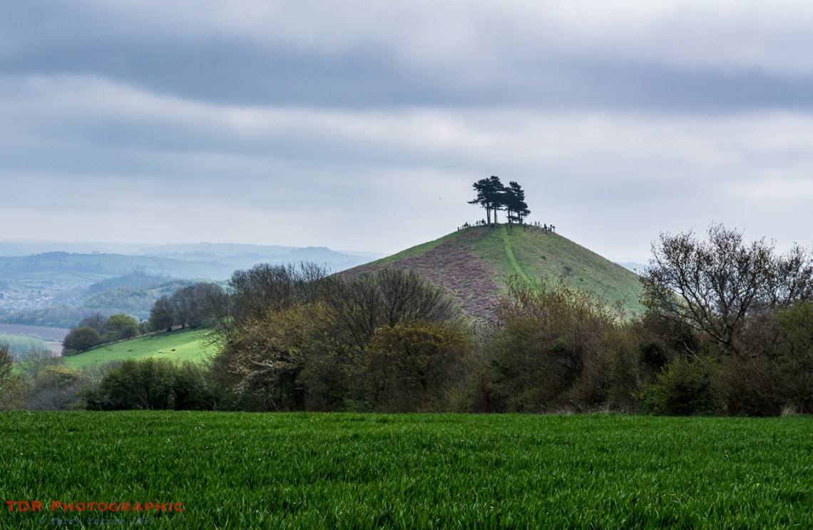 Colmer's Hill