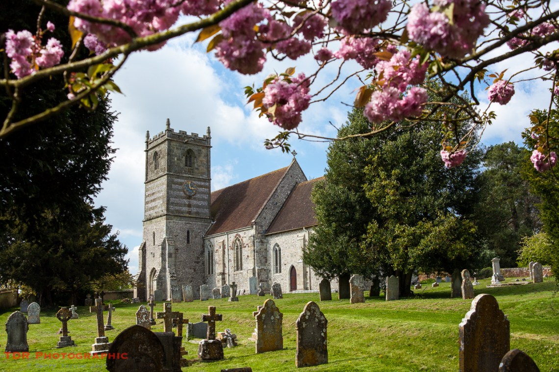 Blossom in the Churchyard