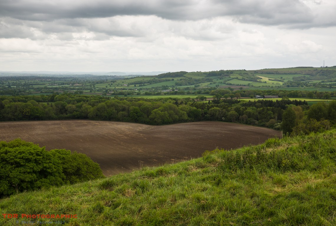 Blackmore Vale View