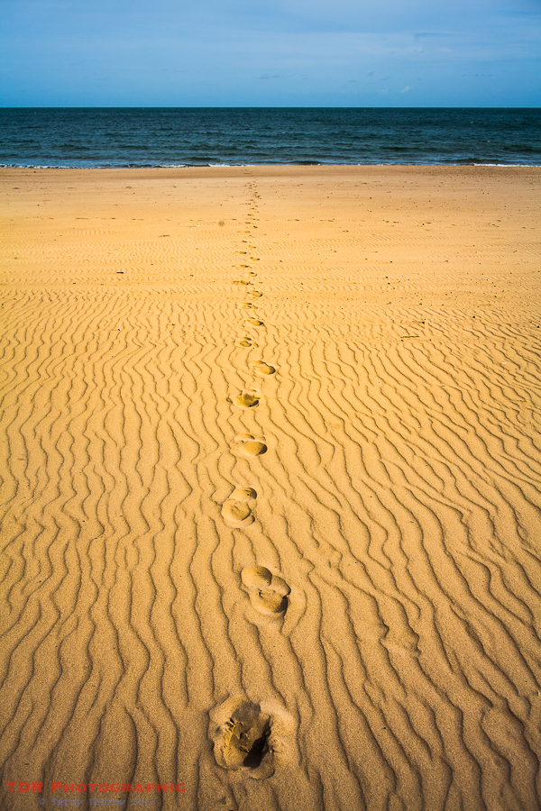 Footprints to the Sea