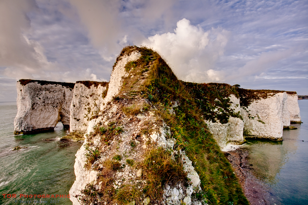 Old Harry view