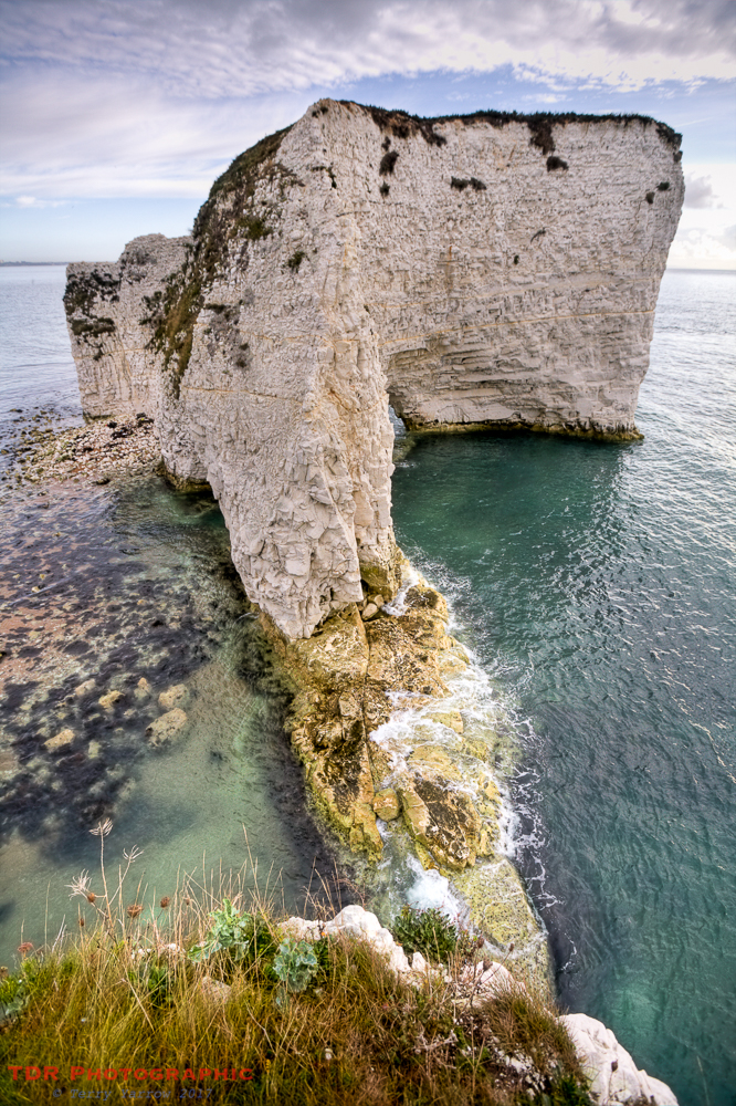 old Harry - up close and personal!
