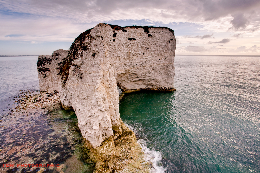 Old Harry - up close and personal!