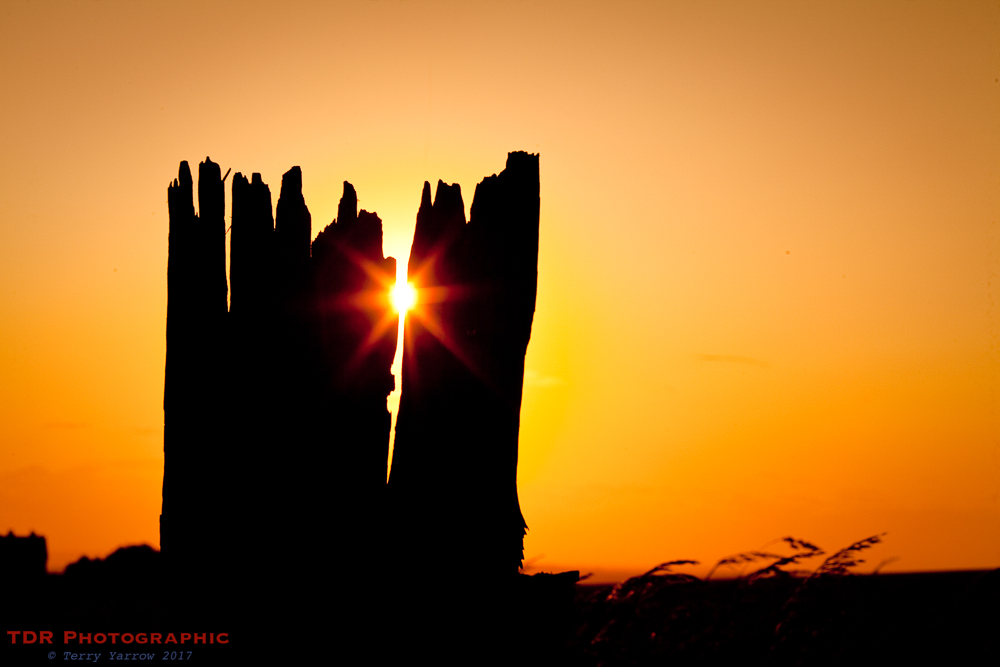 Rapunzel, Rapunzel, let your hair down...