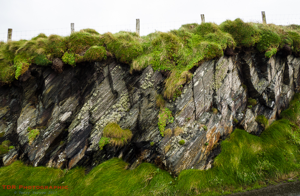 Posts, Rock and Grass