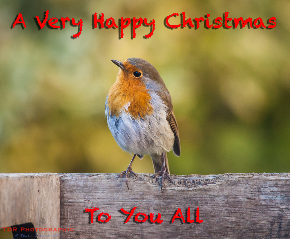 Is this my best side?