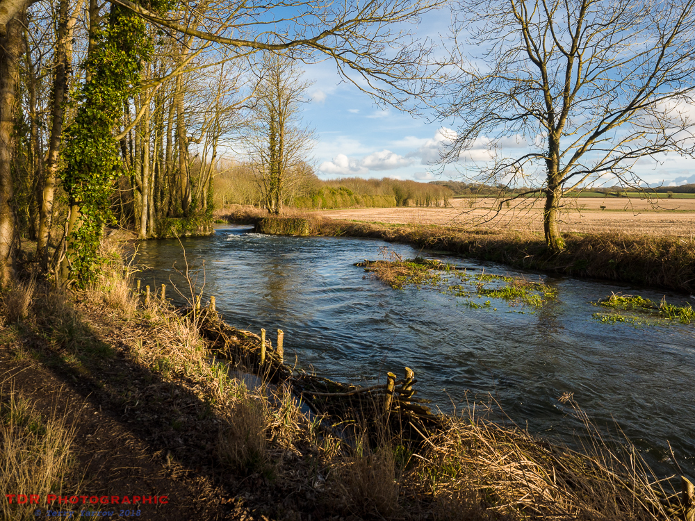 The River Allen in Winter