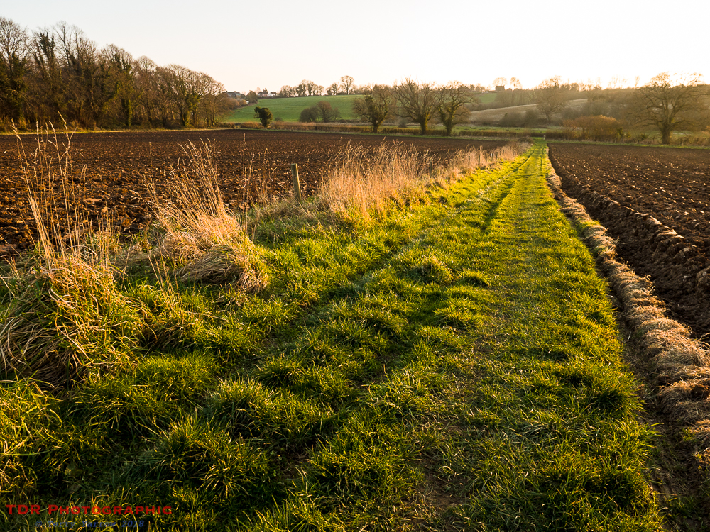 Between Ploughed Fields