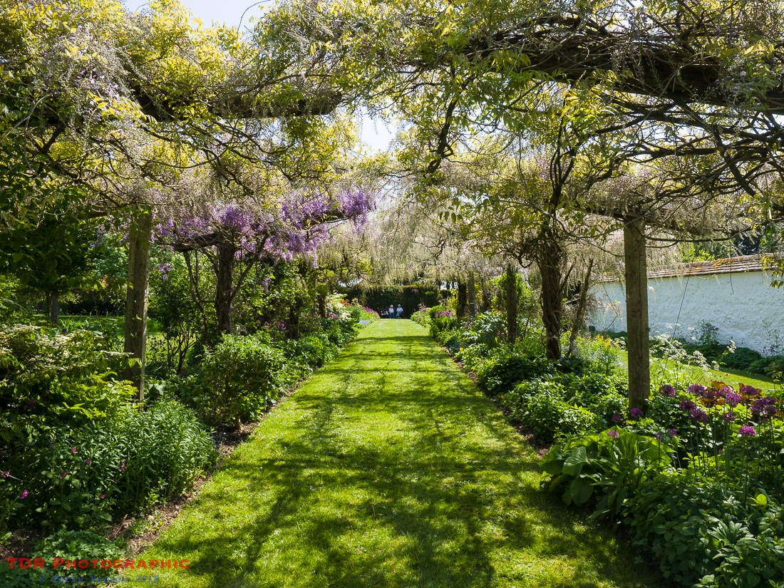Wisteria Walk