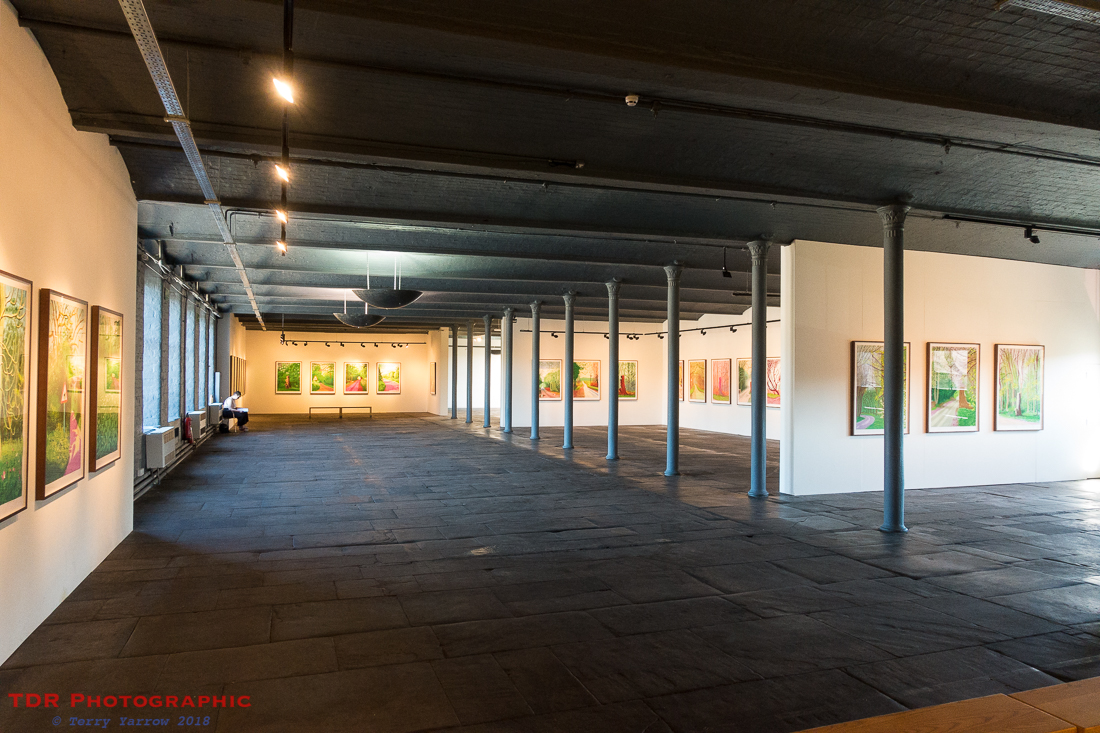 The Hockney Exhibition