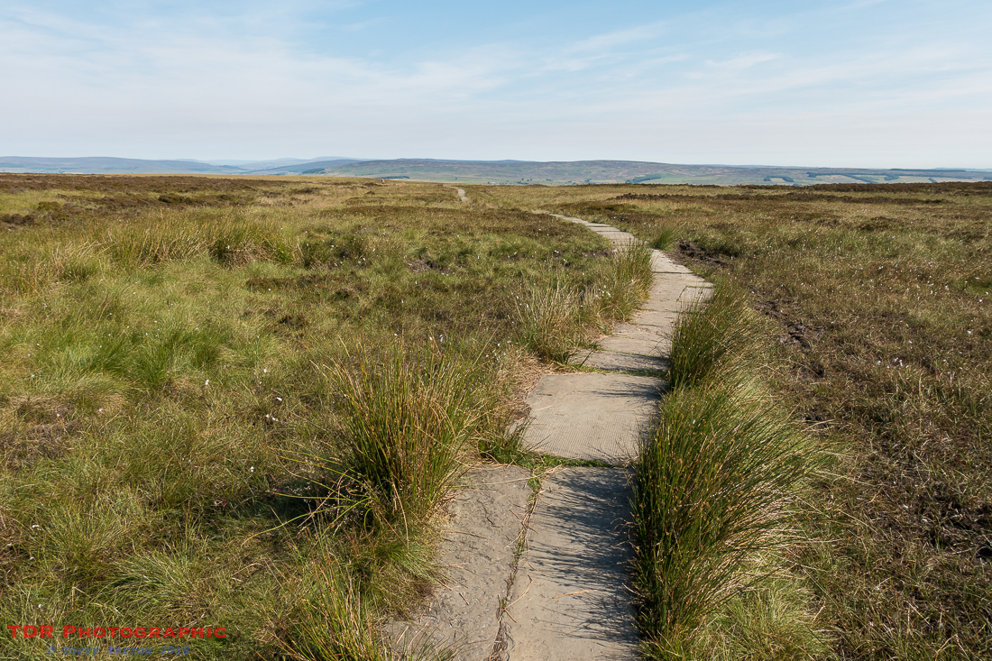 On Ilkley Moor