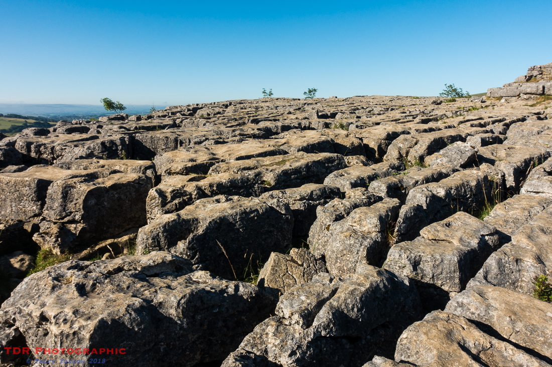 Limestone Pavement above Malham Cove