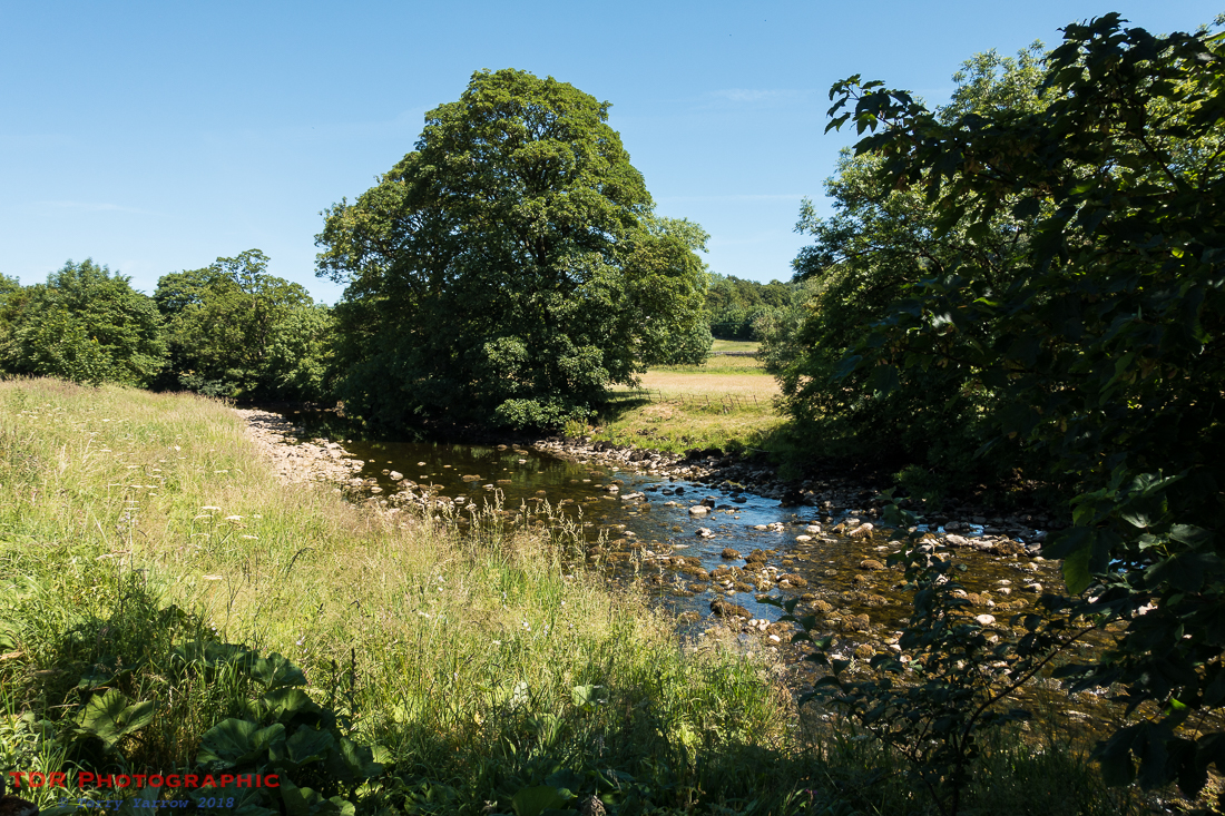 River Ribble