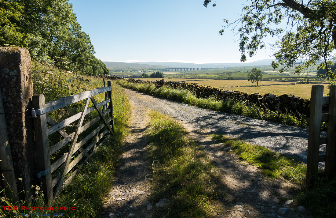The track to Ribblehead