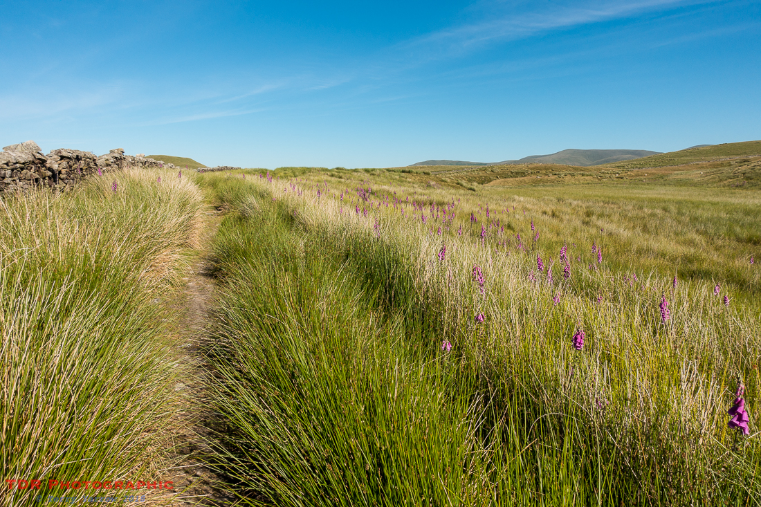 On the Frostrow Fells