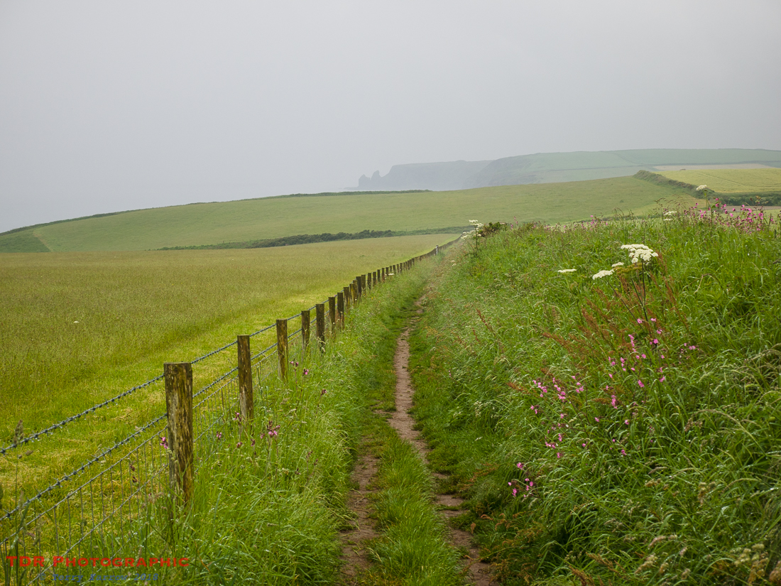 Towards Musselwick Sands