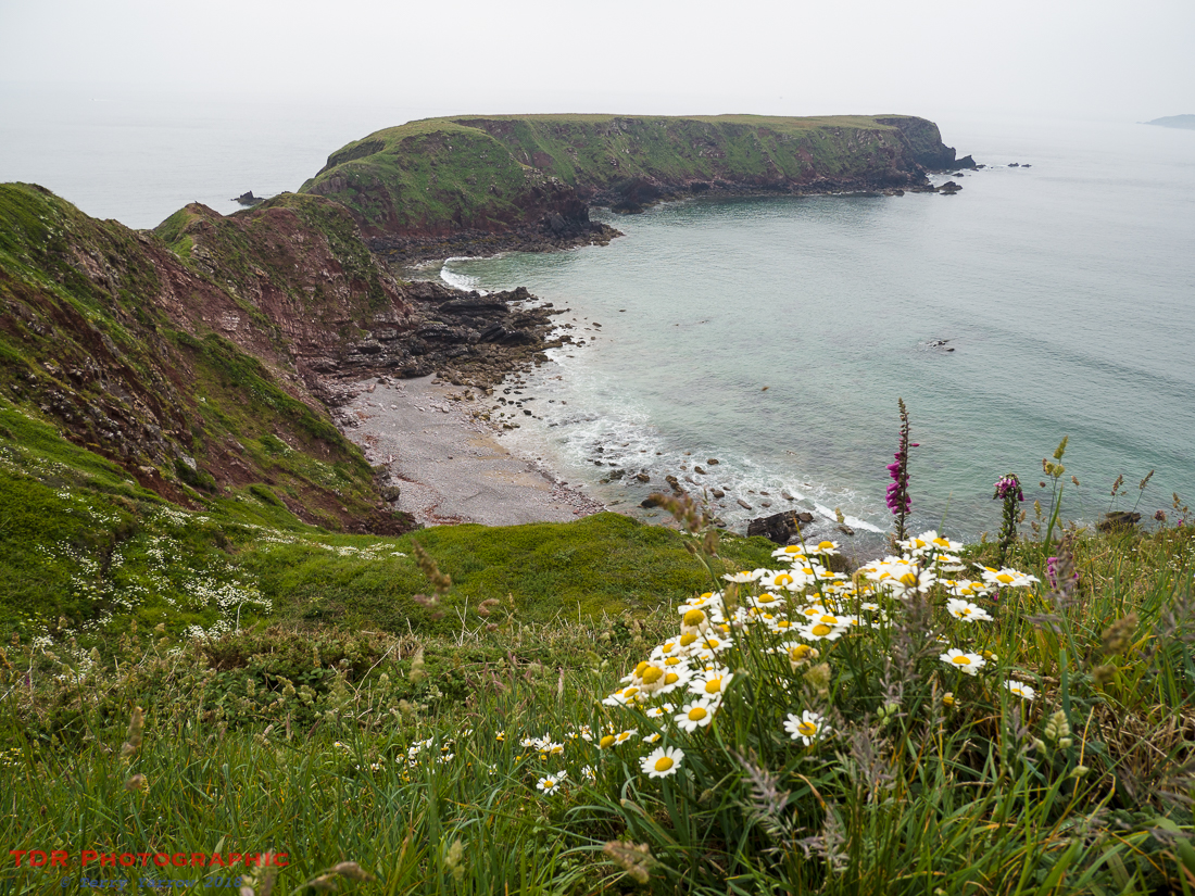 Albion Sands and Gateholm