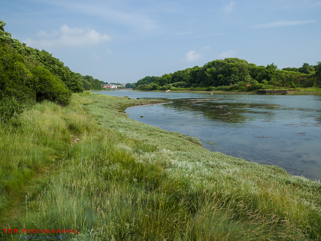 Carew River