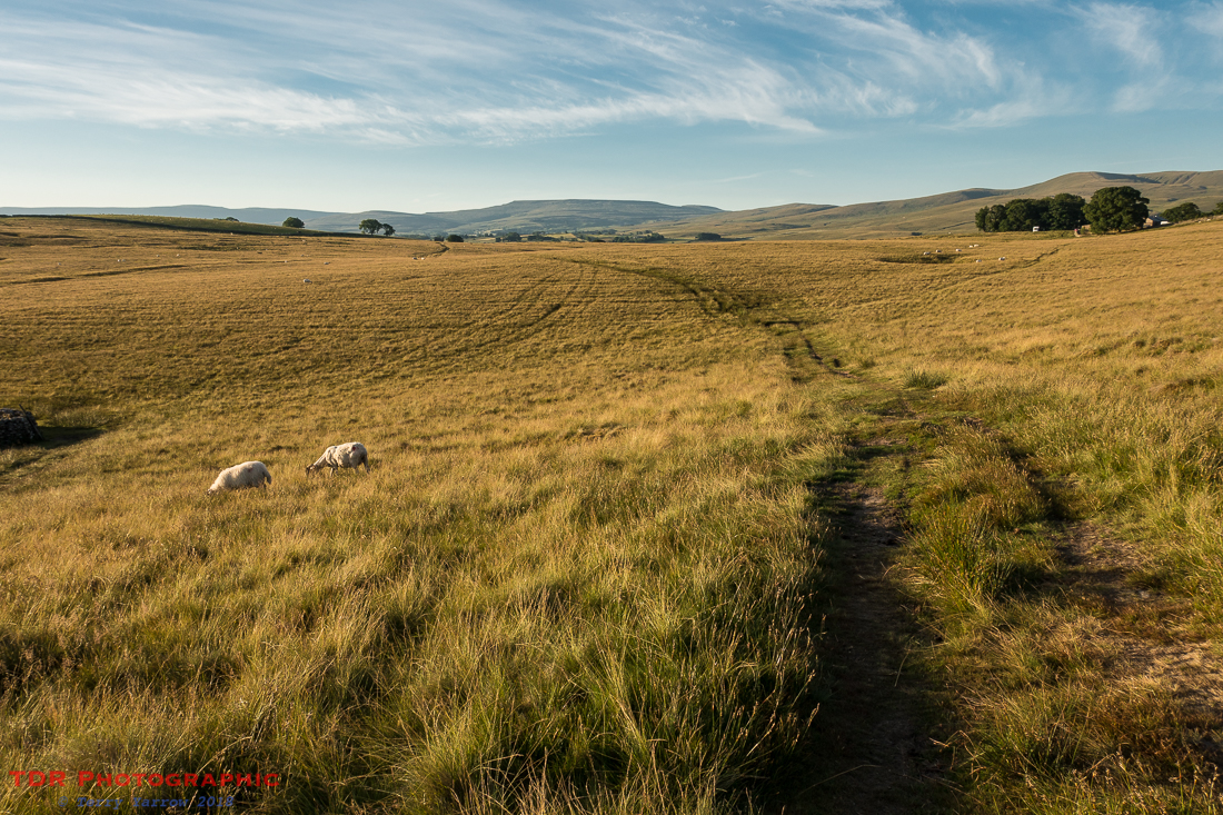 On Ravenstonedale Moor