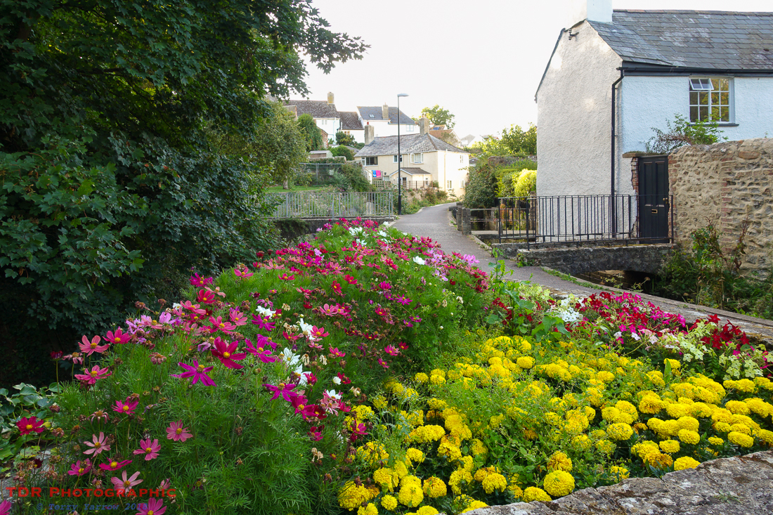 Colourful Lyme Regis