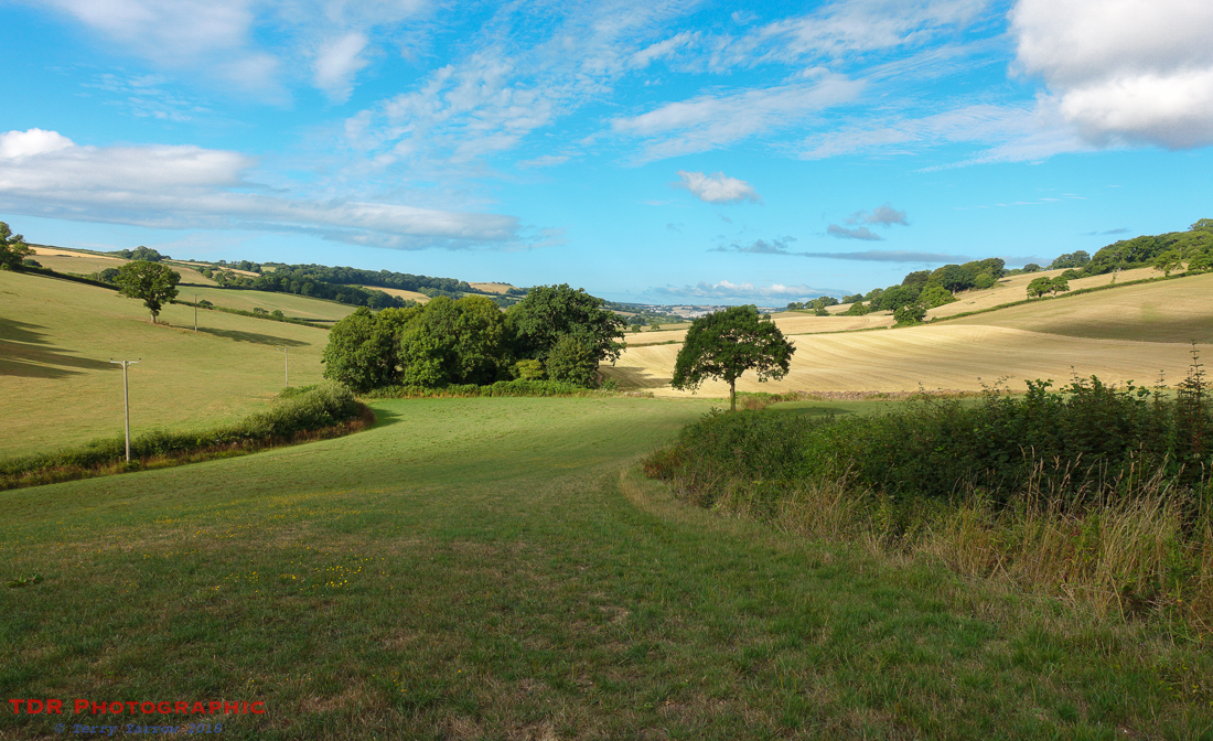 The Devon Countryside