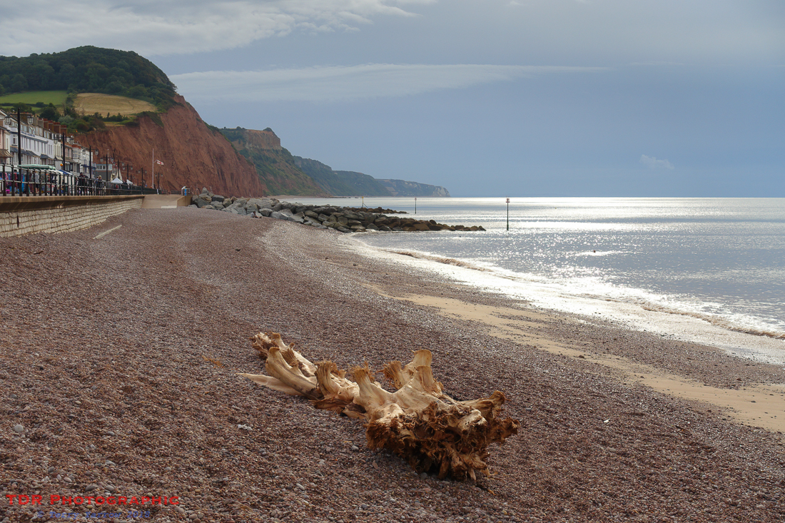 Sidmouth Beach