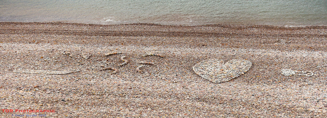 Art on the Beach