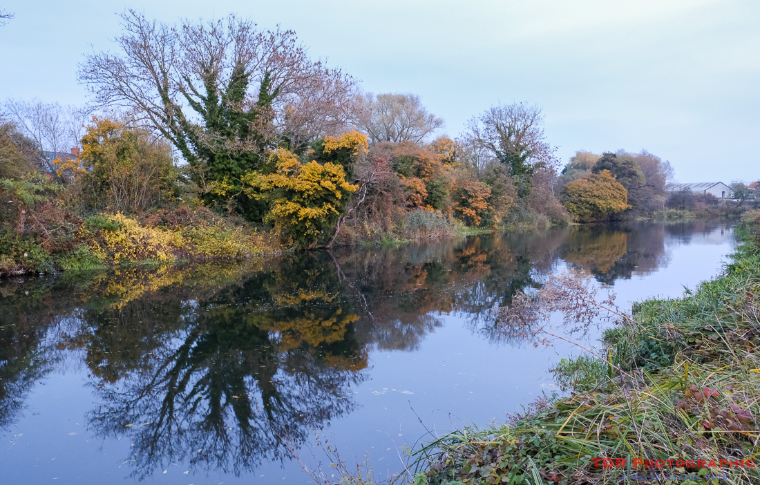 The Gentle Softness of an Autumn Evening