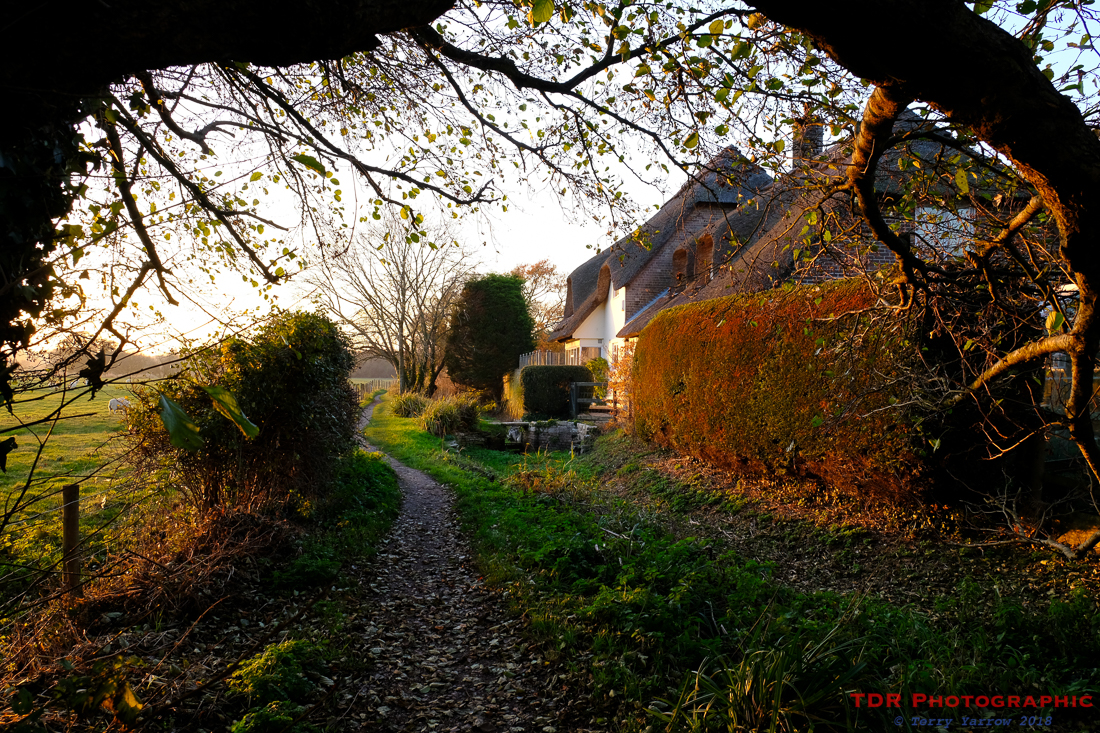 Cottage Beside the Track